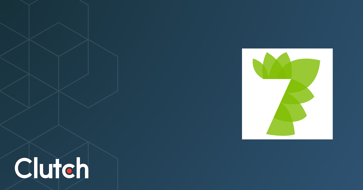 7 Rays Marketing Services Company Info