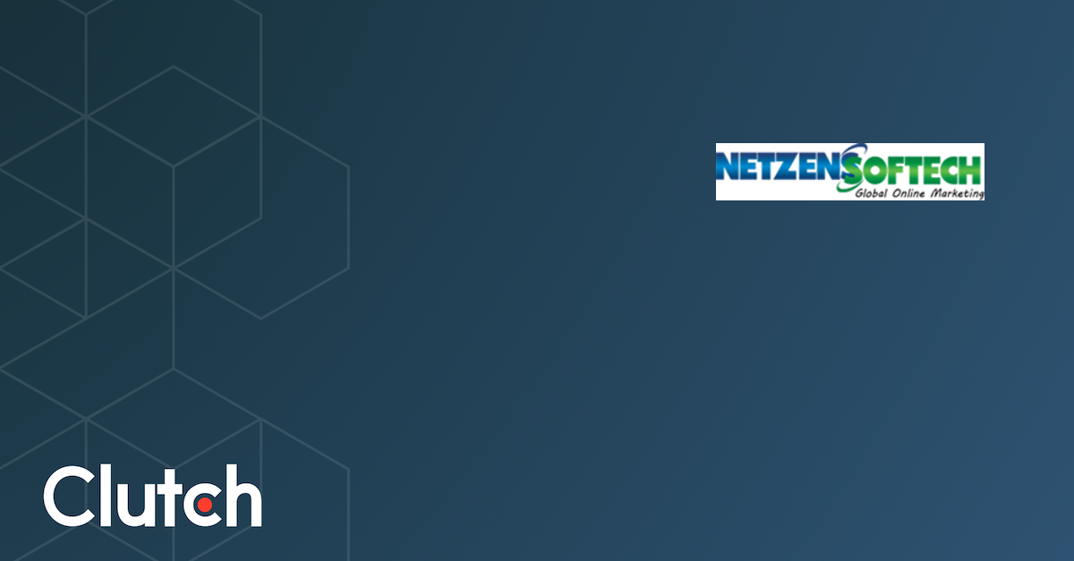 Netzens Softech Pvt Ltd - Services & Company Info