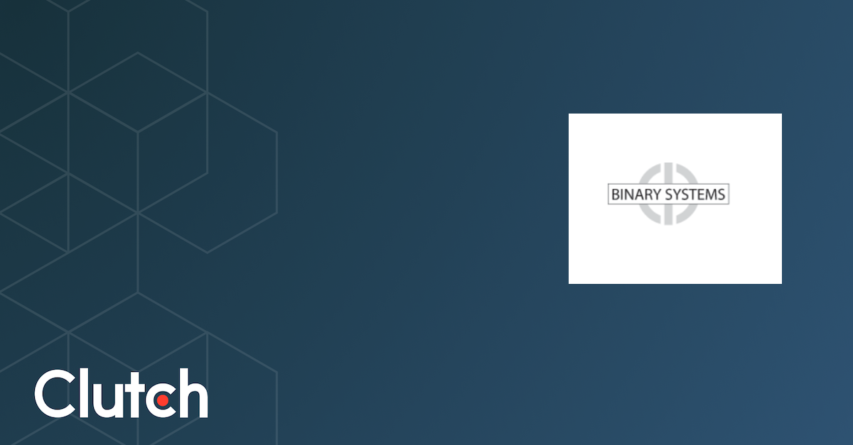 Binary Systems - Services & Company Info