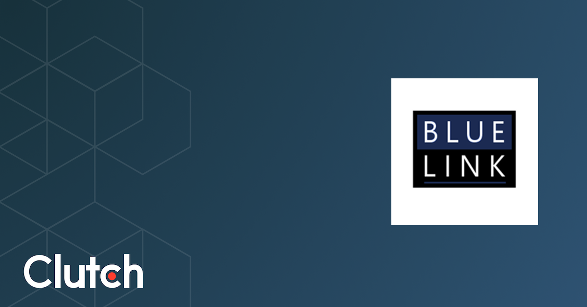 Blue Link Design - Services & Company Info