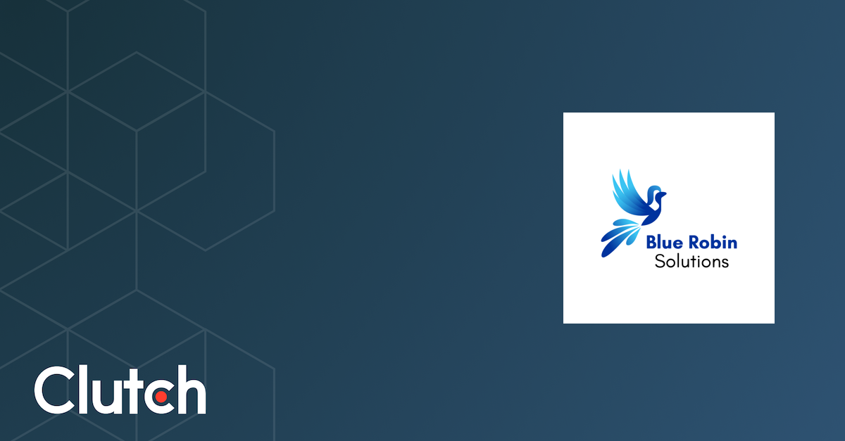 Blue Robin Solutions - Services & Company Info