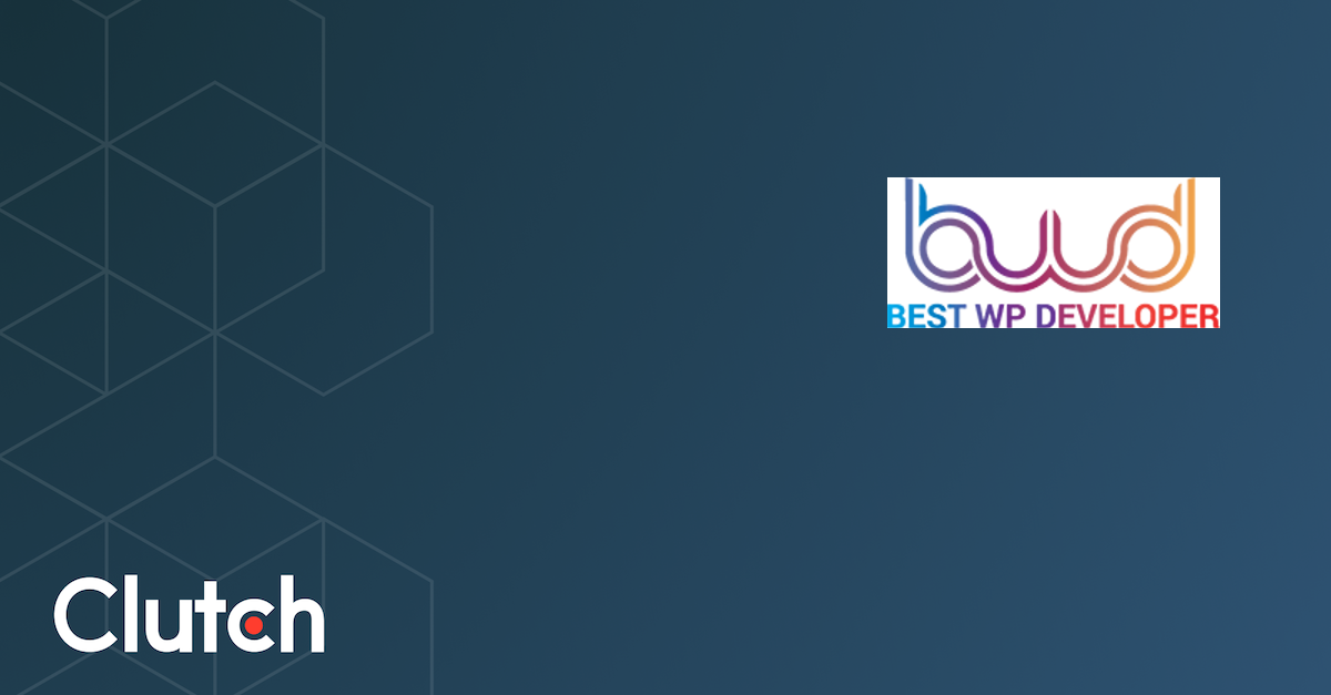 Best WP Developer - Services & Company Info