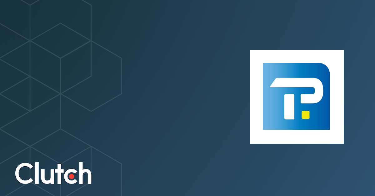 TechPulse IT Services Pvt. Ltd - Services & Company Info