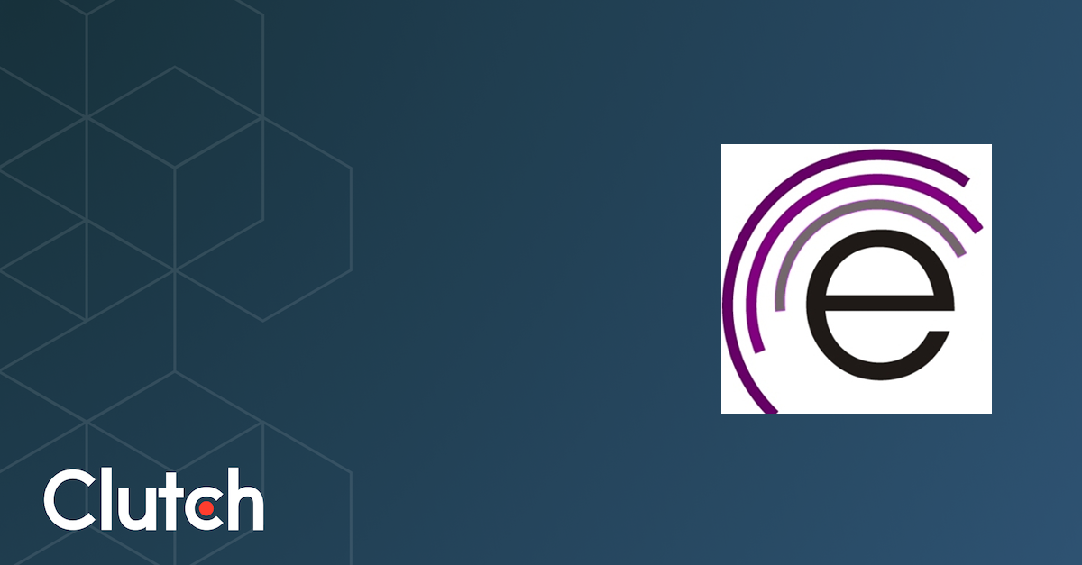 Echo Qualitative Project Support - Services & Company Info