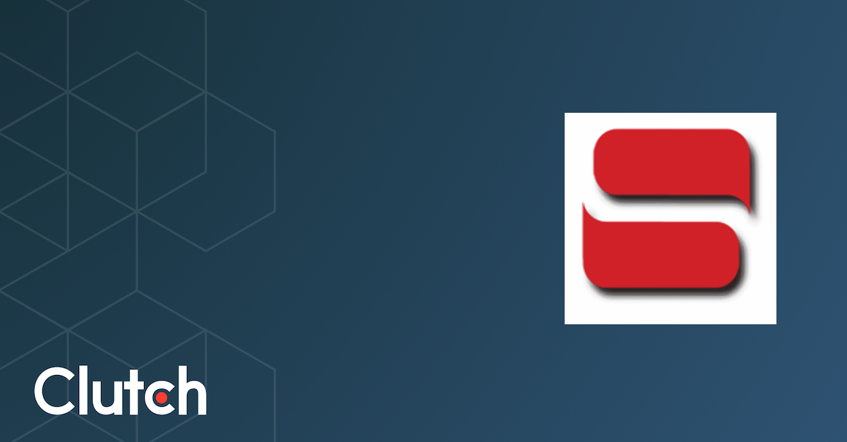 Net Syndicate logo