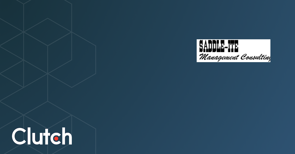 Saddle-ite Management Consulting logo