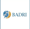 Badri Management Consultancy Logotype
