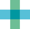 Bausch + Lomb Logotype