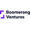 Boomerang Ventures Logotype