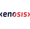 Enosis Solutions Logotype