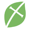 Fellowship Greenville Logotype