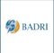 Badri Management Consultancy Logotype