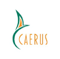 Caerus Logotype