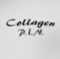 Collagen P.I.N.® Logotype