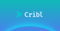 Cribl Logotype