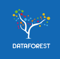 DATAFOREST Logotype