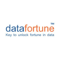 Datafortune Logotype