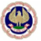 The Institute of Chartered Accountants of India Logotype