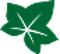 IvyCap Ventures Logotype