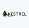 Kestrel Insights Logotype