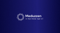 Meduzzen Logotype