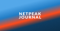 Netpeak Logotype