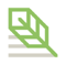 Thicket Logotype