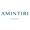 Amintiri Logotype