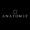 Anatomie Fashion Logotype