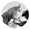 Black Goat Capital Logotype
