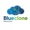 Blueclone Networks Logotype