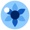 Blue Iris Labs Logotype
