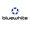Bluewhite Logotype