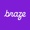 Braze Logotype
