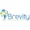 Brevity Software Solutions PVT. LTD. Logotype