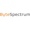 ByteSpectrum Technologies LLP Logotype