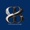 CD Bradford, LLC Logotype