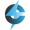 Charli Charging Logotype