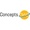 Concepts360 AI Pvt Ltd Logotype