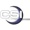 Cardellian Systems Inc. (o/a CSI International) Logotype