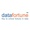 Datafortune Logotype