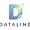 Dataline, Inc. Logotype