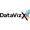 DataVizX Logotype