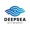 Deepsea Networks Logotype