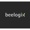 Beelogix Logotype