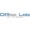 DiRac Lab Logotype