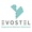 Evostel (Previously AQESA) Logotype