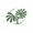 Fairchild Tropical Botanic Garden Logotype