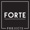 Forte Projects Ltd. Logotype