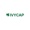 IvyCap Ventures Logotype